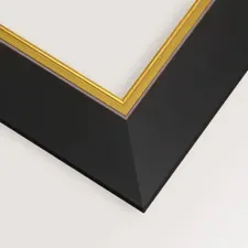 Black & Gold frame finish